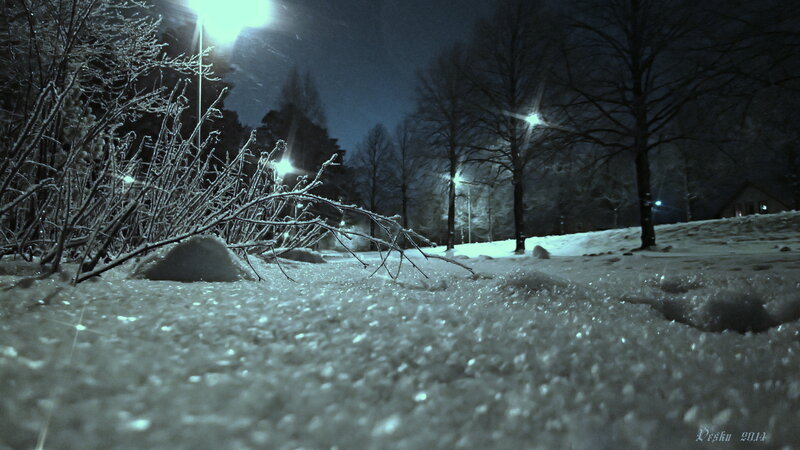 Snow-covered Branches — White, Cold, Night