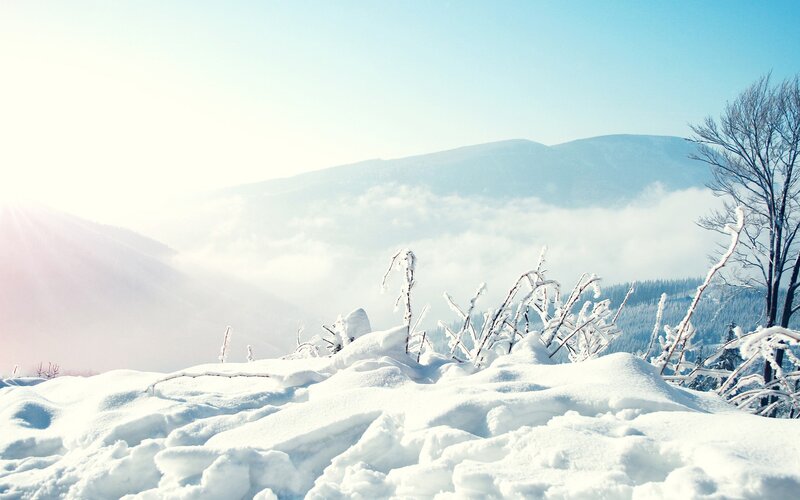 Snow-covered Branches — White, Serene, Winter, Photograph, Mountains, Frost, Clouds
