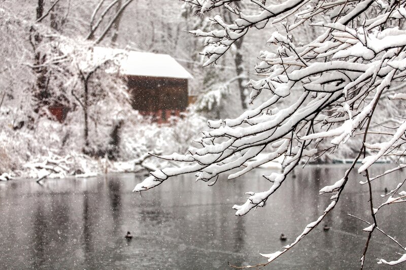 Snow-covered Branches — White, Serene, Winter, Photograph, River