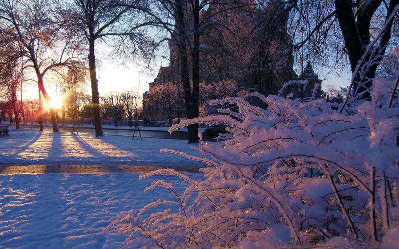 Snow-covered Branches — White, Serene, Winter, Photograph, Trees, Building