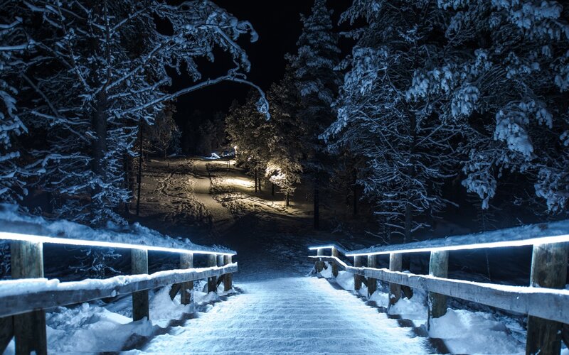 Snow-covered Bridge at Night — Blue, Serene, Photograph, Trees
