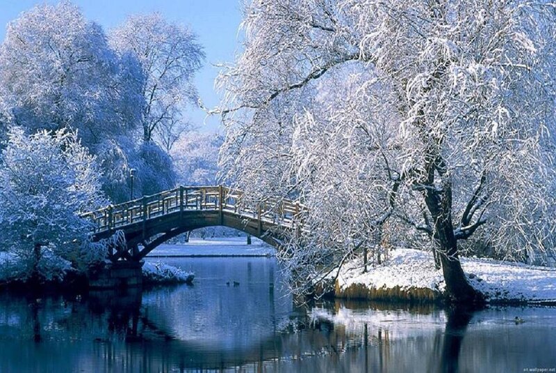 Snow-covered Bridge — Blue, Serene, Winter, Photograph, River, Trees, Sky