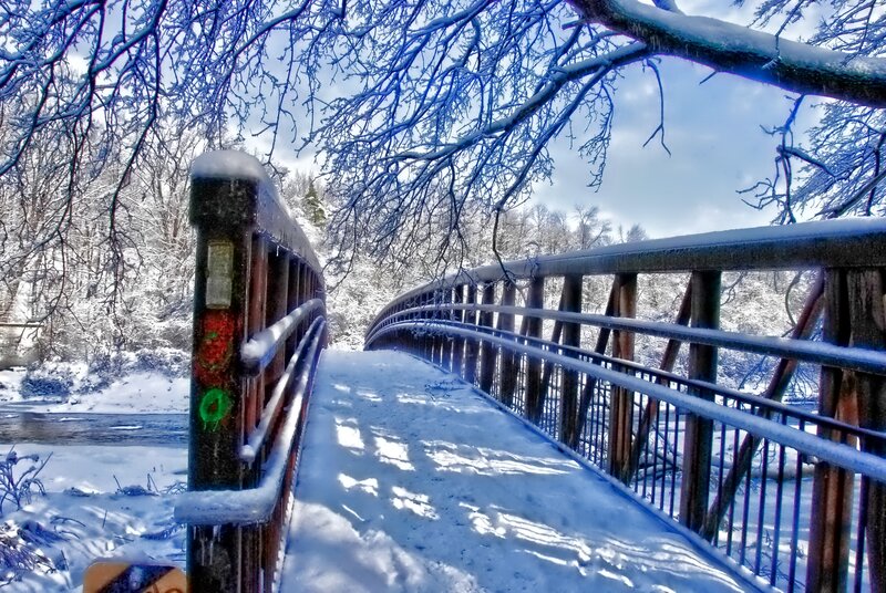 Snow-covered Bridge — Blue, Serene, Winter, Photograph, Trees, River