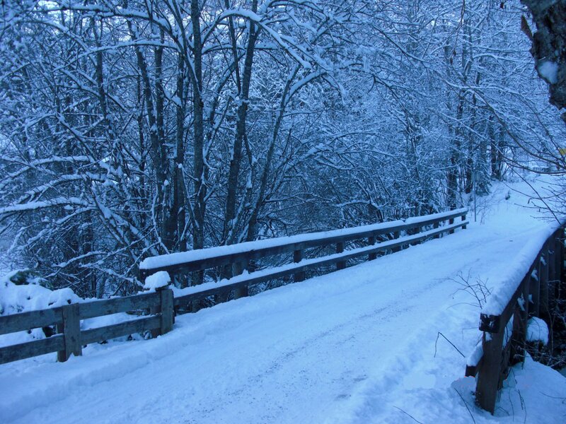 Snow-covered Bridge — Blue, Serene, Winter, Photograph, Trees