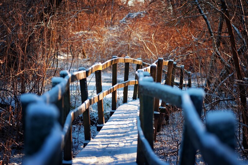 Snow-covered Bridge — Brown, Serene