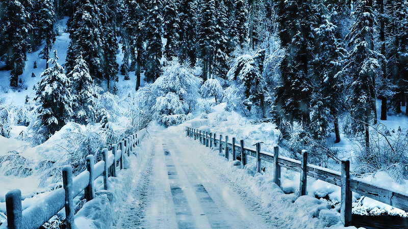 Snow-covered Bridge in Forest — Blue
