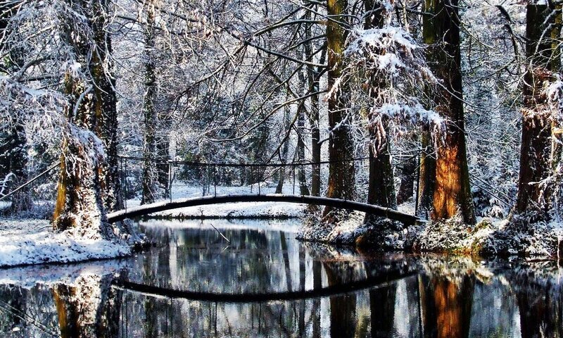 Snow-covered Bridge in Forest — White, Serene, Winter, Photograph, River