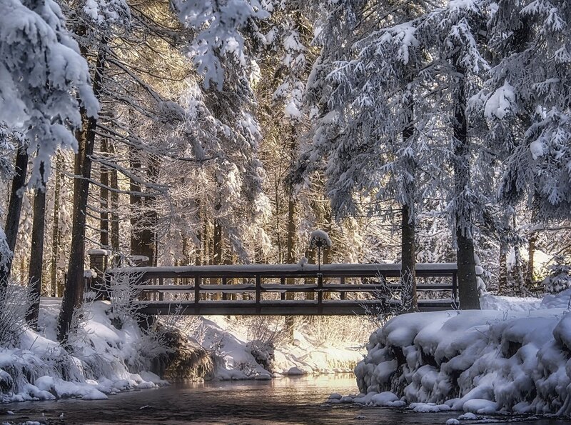 Snow-covered Bridge in Forest — White, Serene, Winter, Photograph, River, Trees, Snow
