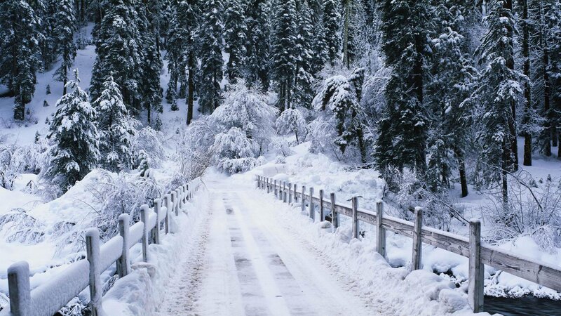 Snow-covered Bridge in Forest — White, Serene, Winter, Photograph