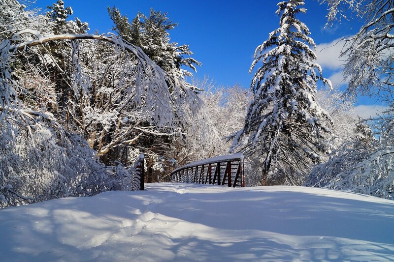 Snow-covered Bridge in Forest — White, Serene, Winter, Photograph, Trees, Snow, Sky