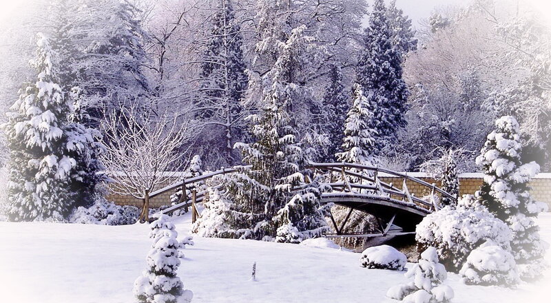 Snow-covered Bridge in Forest — White, Serene, Winter, Photograph, Trees