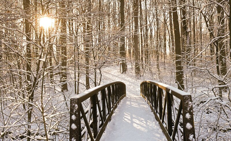 Snow-covered Bridge in Forest — White, Serene, Winter