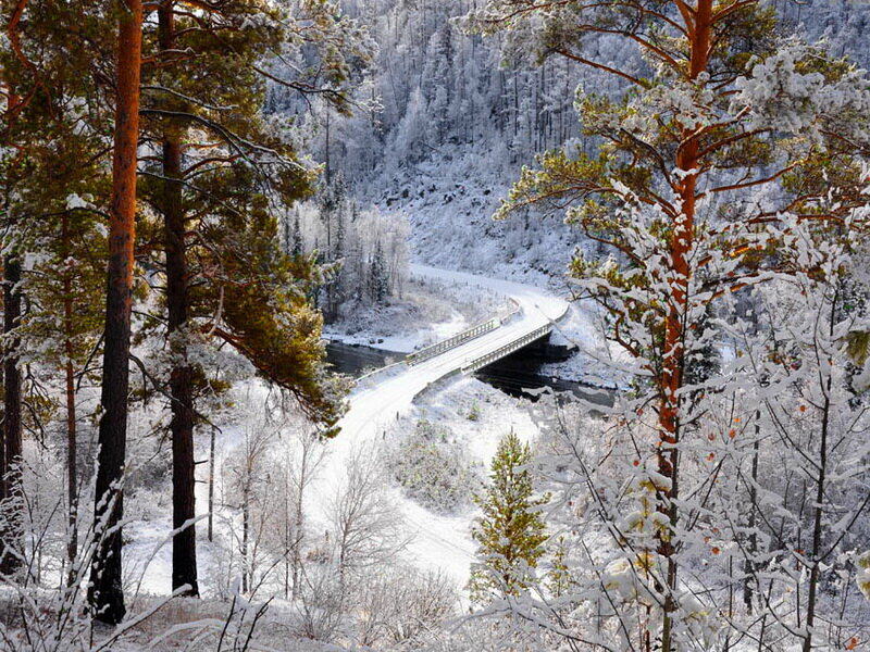 Snow-covered Bridge in Forest — White