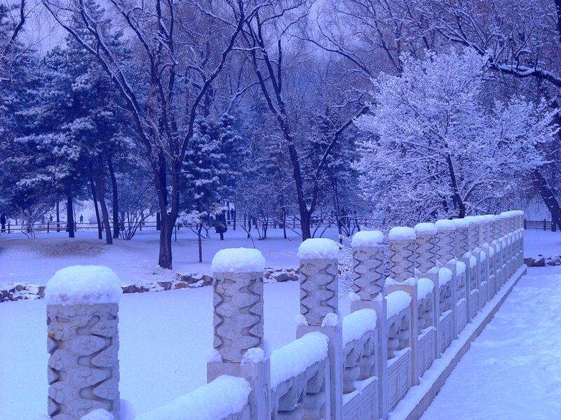 Snow-covered Bridge in Park — Blue