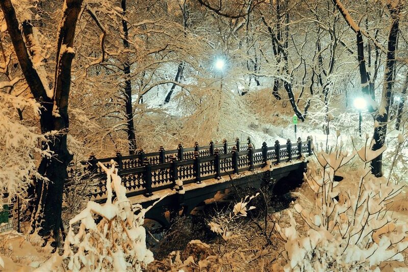 Snow-covered Bridge in Park — White, Serene, Night