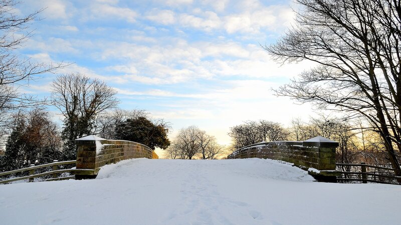 Snow-covered Bridge in Park — White, Serene