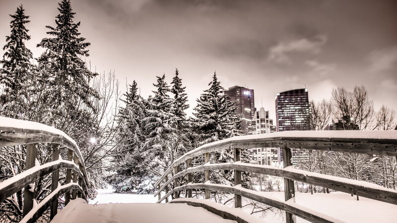 Snow-covered Bridge in Park — White, Serene, Winter
