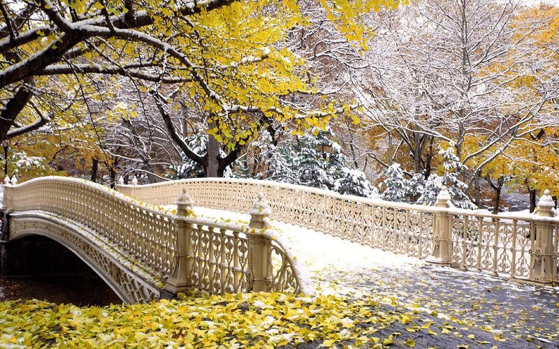 Snow-covered Bridge in Park — Yellow, Serene, Autumn, Photograph