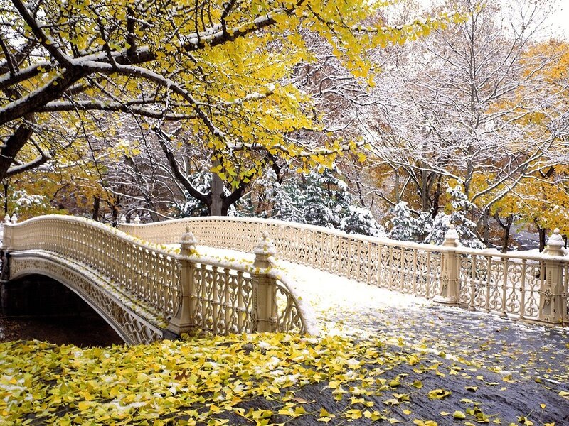 Snow-covered Bridge in Park — Yellow