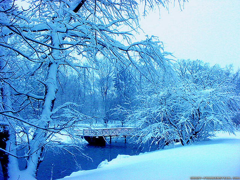 Snow-covered Bridge in Winter — Blue, Serene