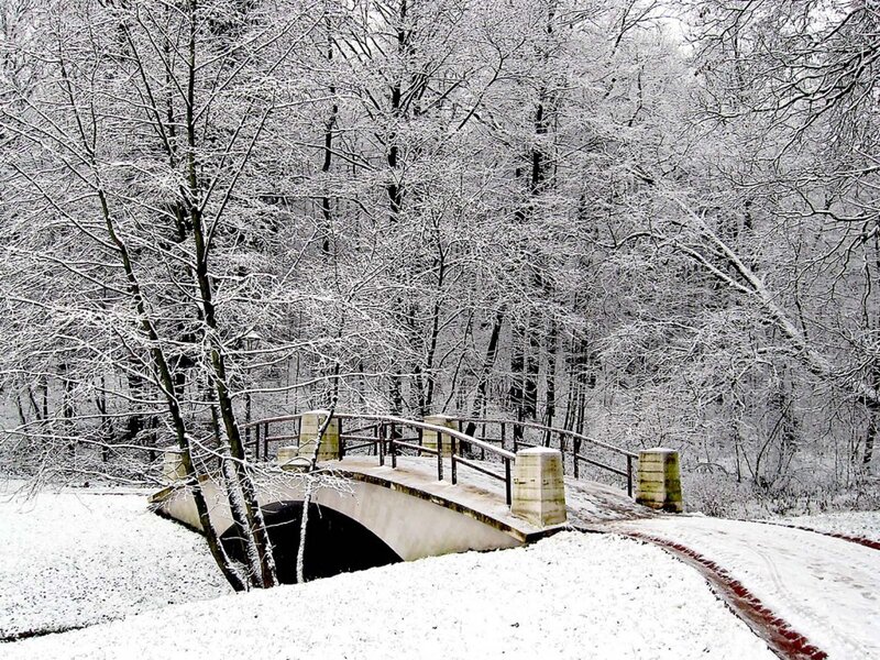 Snow-covered bridge in winter forest