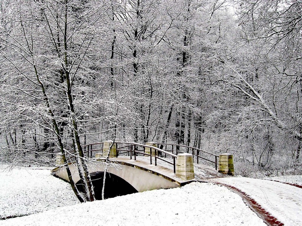 Snow-covered bridge in winter forest