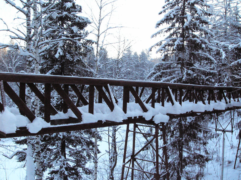 Snow-covered bridge in winter forest