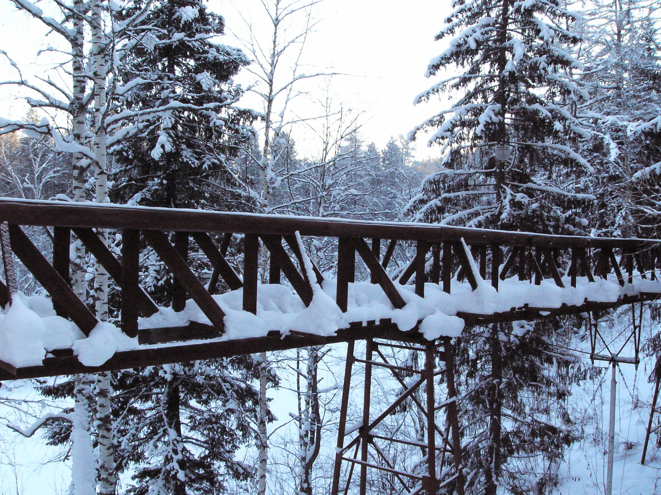 Snow-covered bridge in winter forest