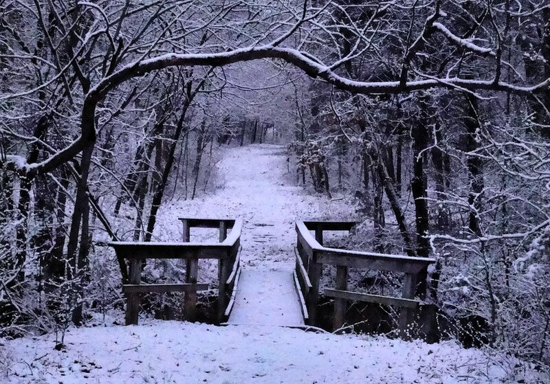 Snow-covered Bridge in Woods