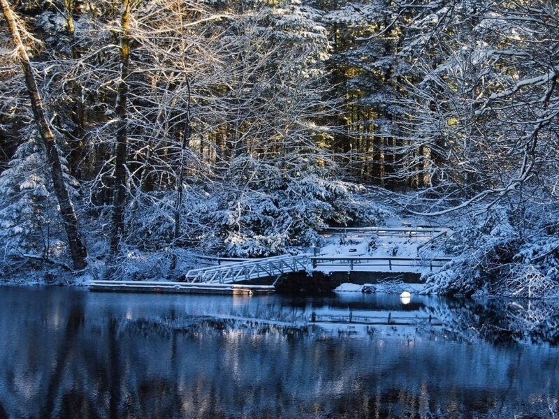 Snow-covered Bridge over Lake — Blue, Serene