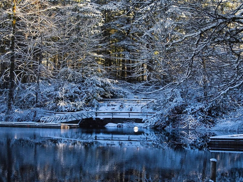 Snow-covered Bridge over Lake — Blue