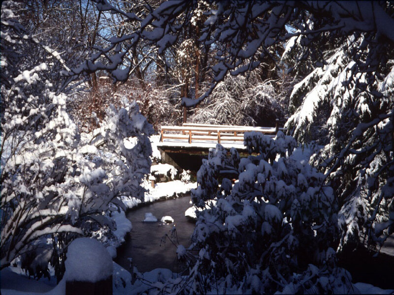 Snow-covered Bridge over Stream