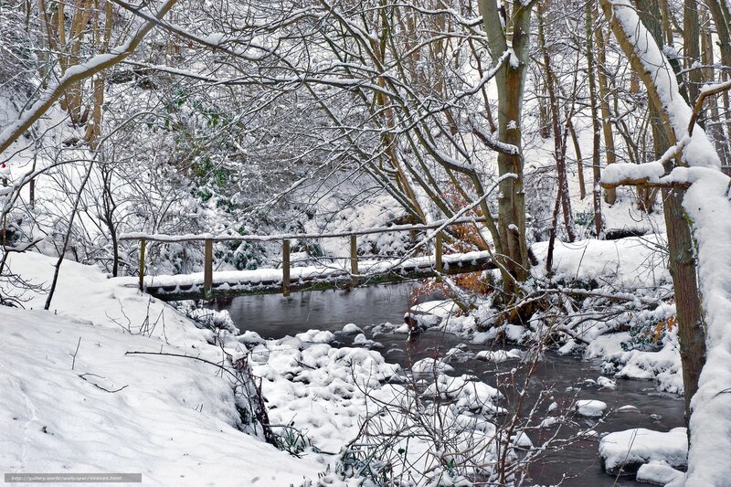 Snow-covered Bridge over Stream — White, Serene, Winter