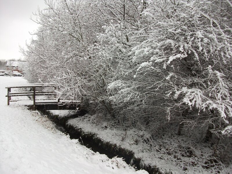 Snow-covered Bridge — White, Cold, Winter