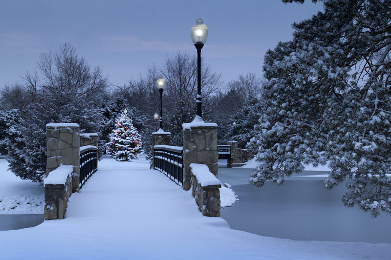 Snow-covered Bridge — White, Serene, Winter, Photograph, Christmas Tree
