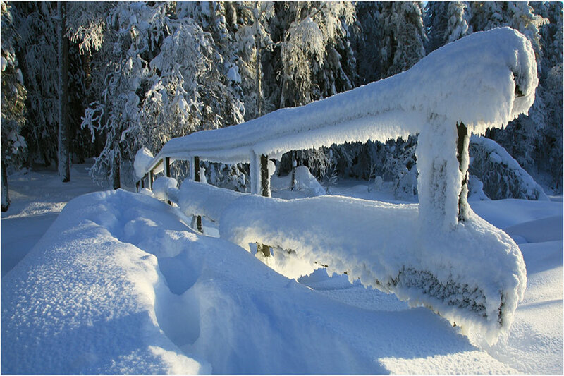 Snow-covered Bridge — White, Serene, Winter, Photograph, Frosty Trees