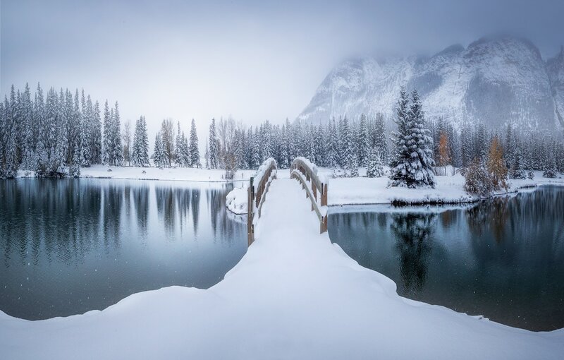 Snow-covered Bridge — White, Serene, Winter, Photograph, Lake