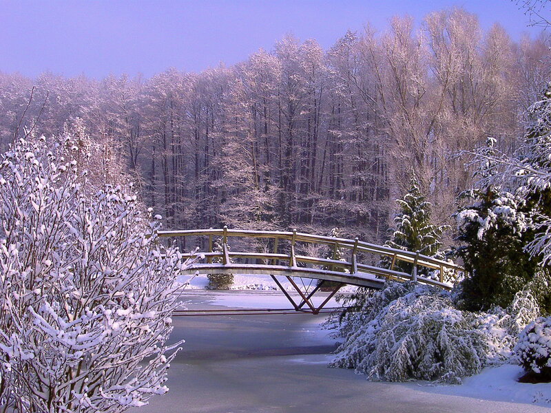 Snow-covered Bridge — White, Serene, Winter, Photograph, River, Trees, Forest