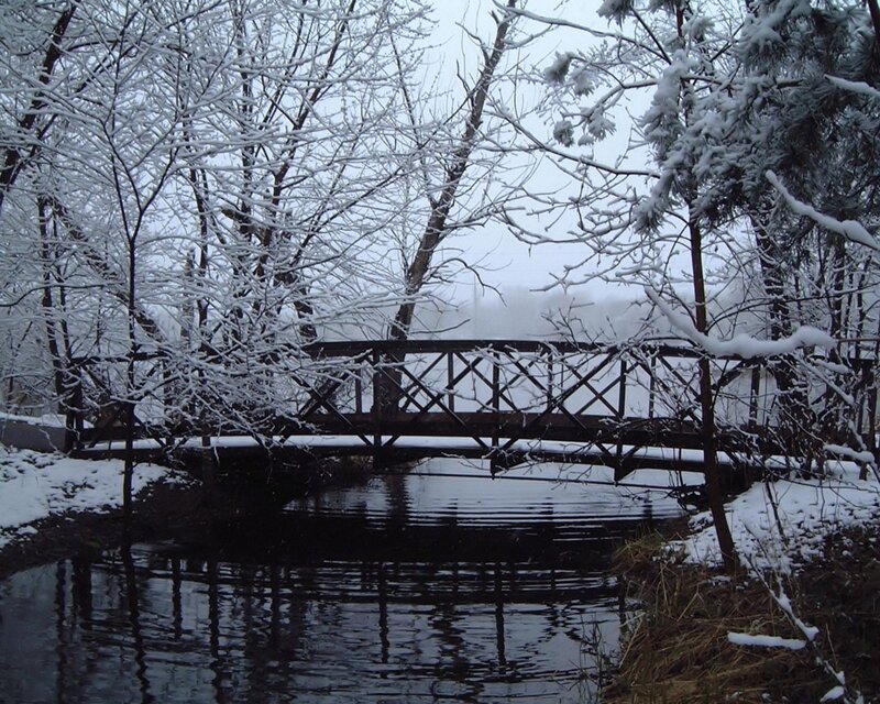 Snow-covered Bridge — White, Serene, Winter, Photograph, River, Trees, Snow, Black, Gray