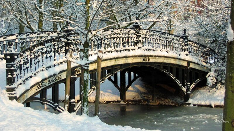 Snow-covered Bridge — White, Serene, Winter, Photograph, River, Trees, Snow