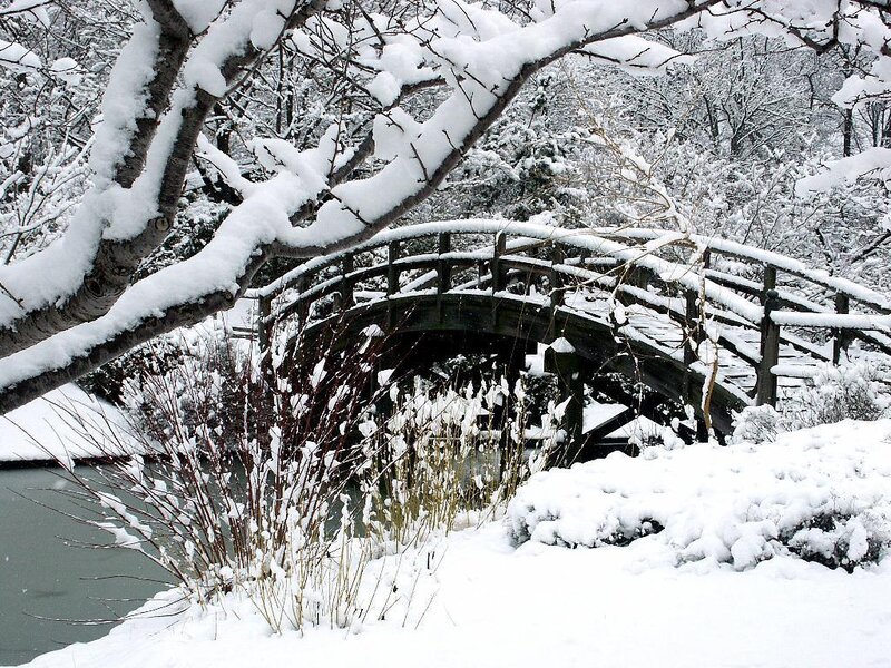 Snow-covered Bridge — White, Serene, Winter, Photograph, Tree