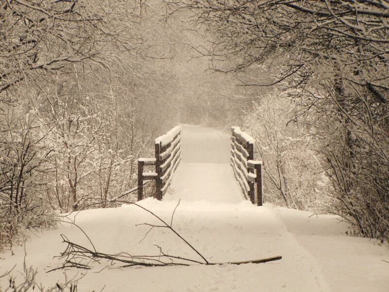 Snow-covered Bridge — White, Serene, Winter, Photograph, Trees, Fence