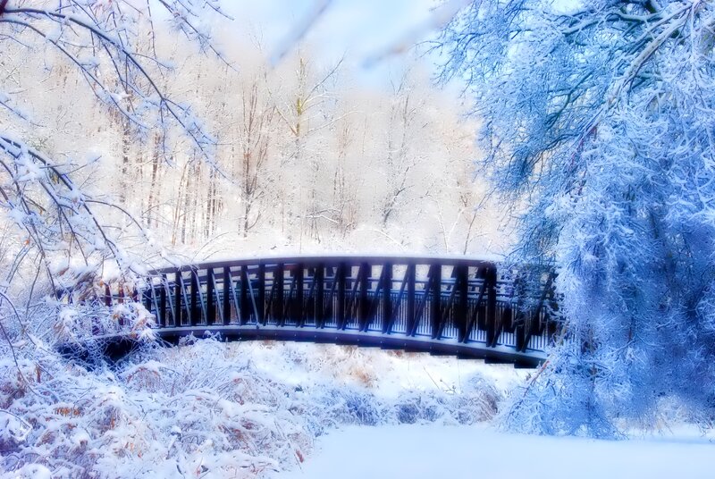 Snow-covered Bridge — White, Serene, Winter, Photograph, Trees, Forest