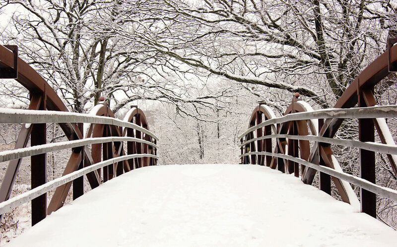 Snow-covered Bridge — White, Serene, Winter, Photograph, Trees, Railing