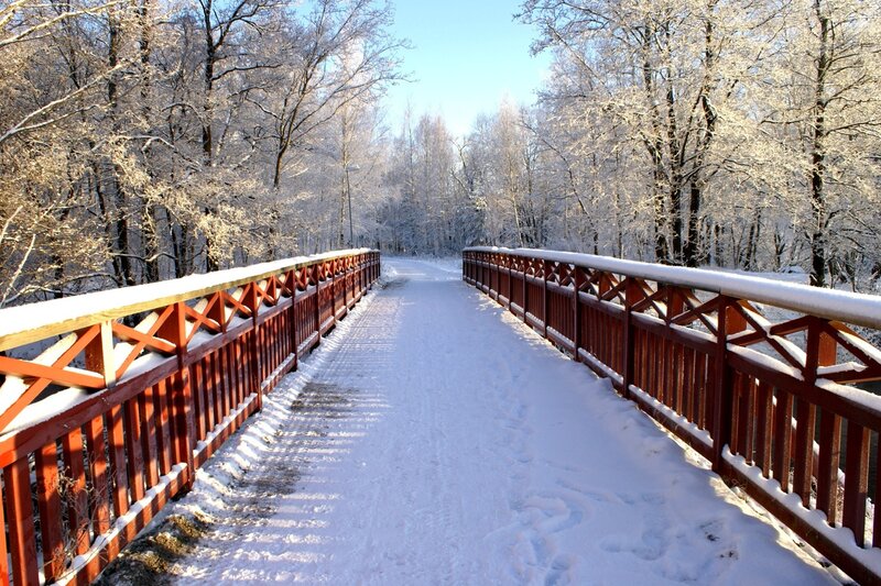 Snow-covered Bridge — White, Serene, Winter, Photograph, Trees, Snow, Railing