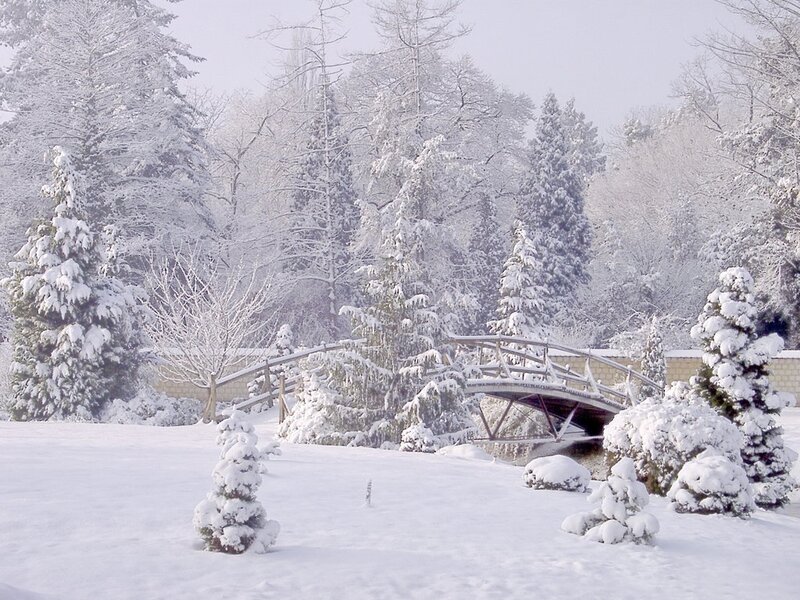 Snow-covered Bridge — White, Serene, Winter, Photograph, Trees, Snow, River, Bushes