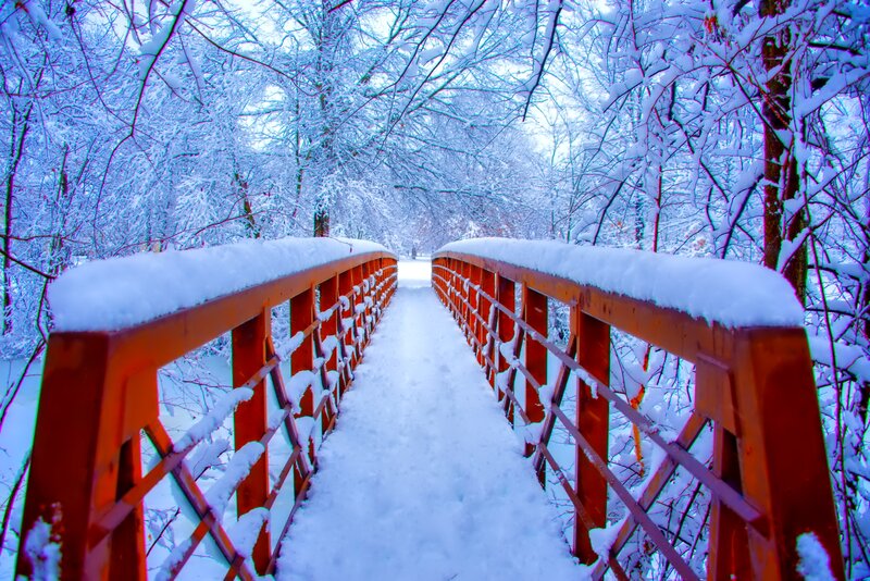 Snow-covered Bridge — White, Serene, Winter, Photograph, Trees, Snow