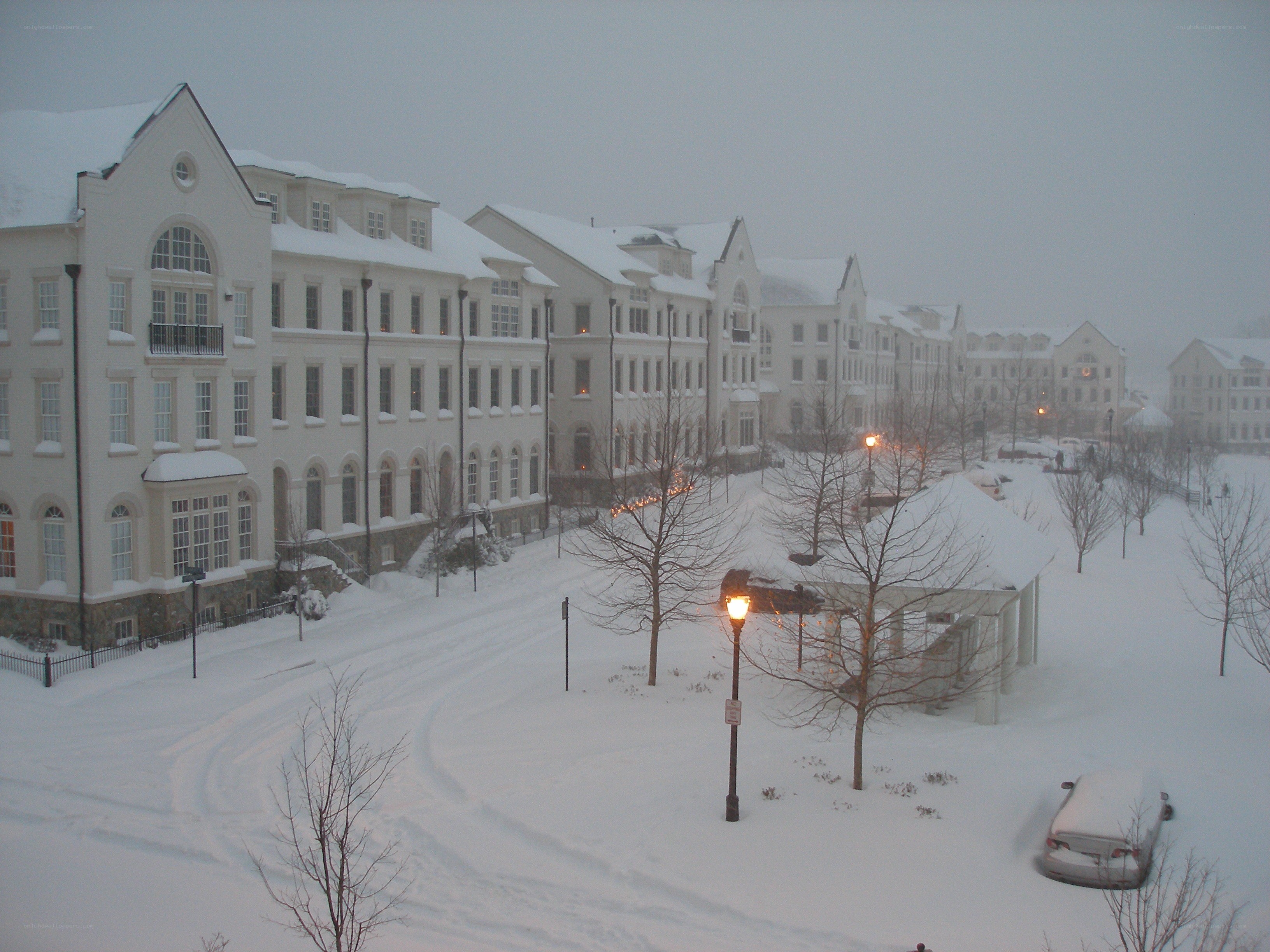 snow-covered buildings in winter