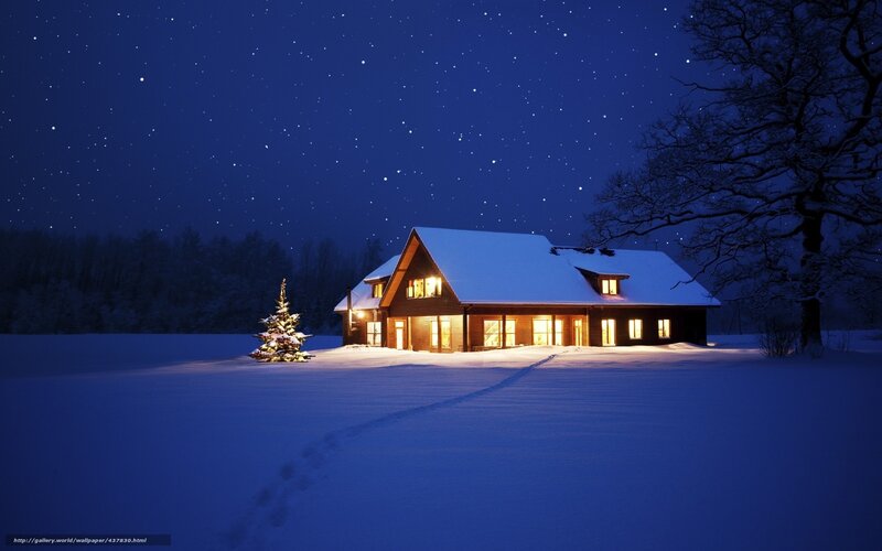 Snow-covered Cabin at Night — Blue, Serene, Photograph, Christmas Tree, Starry Sky