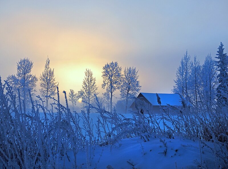 Snow-covered Cabin at Sunrise — Blue, Serene